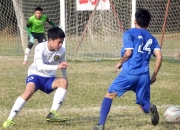 包含杭州绿城队内骚动，河北华夏幸福客场滑坡的词条