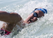 连胜终结！法国队游泳赛事中意外挺进决赛